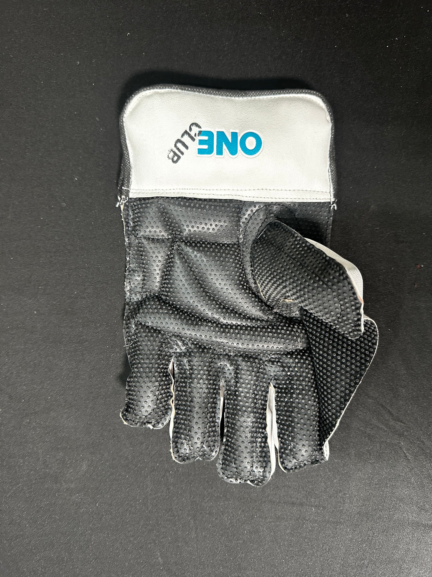 Club Wicket Keeping Gloves