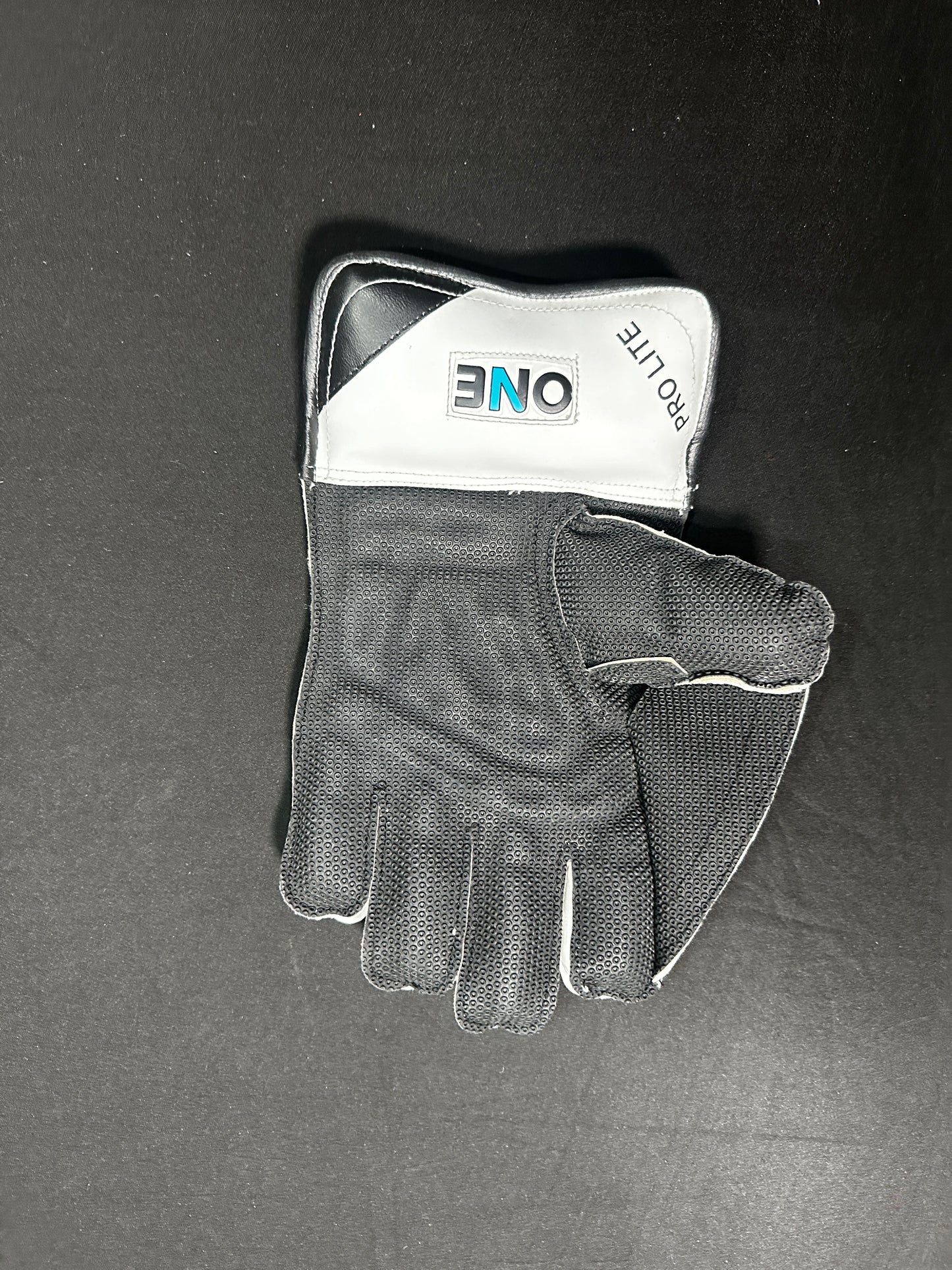 Pro Lite Wicket Keeping Gloves