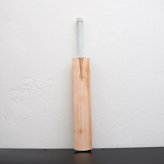 ONEV GRADE 3 ENGLISH  WILLOW Cricket Bat